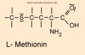Essentielle Aminosäure - Strukturformel L-Methionin Met
