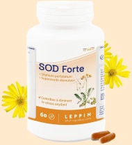 Superoxid Dismutase SOD Superoxid Dismutase - Nahrungsergänzungsmittel