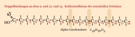 Linolsäure - essentielle Fettsäure Linolsäure - Aufbau und Strukturformel