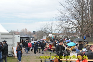 Mandelblütenfest in Edenkoben (Pfalz)