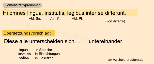 Hi omnes lingua, institutis, legibus inter se differunt