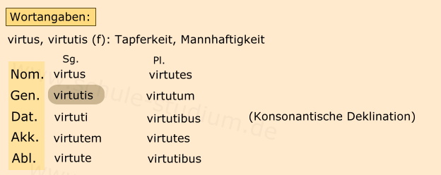 Bellum Gallicum: Hoc proprium virtutis existimant ...