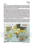 Suizide / Selbstmorde Schaubilder Wirtschaft & Politik