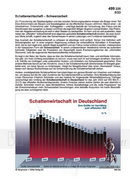 Schwarzarbeit
Schattenwirtschaft Schaubilder Wirtschaft & Politik