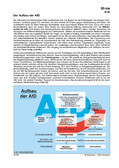 Aufbau der AfD (05/2018) Schaubilder, Diagramme, Tabellen und Illustrationen zu Wirtschaft und Politik