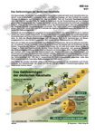 Geldvermögen deutscher Haushalte Schaubilder, Diagramme, Tabellen und Illustrationen zu Wirtschaft und Politik