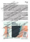 Maßstab menschliche Entwicklung Schaubilder, Diagramme, Tabellen und Illustrationen zu Wirtschaft und Politik
