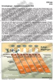 Schulabgänger - Prognose bis 2030 Schaubilder, Diagramme, Tabellen und Illustrationen zu Wirtschaft und Politik