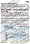 Bruttomonats-verdienste von Männern und Frauen Schaubilder, Statistiken, Diagramme, Tabellen und Illustrationen: Einkommen/Vermögen/privater Konsum