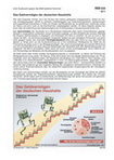 Das Geldvermögen der deutschen Haushalte Schaubilder, Statistiken, Diagramme, Tabellen und Illustrationen: Einkommen/Vermögen/privater Konsum