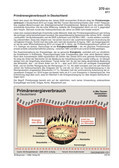 Primärenergieverbrauch in Deutschland Schaubilder zu Wirtschaft und Politik