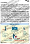 Vormundschaft Schaubilder, Statistiken, Diagramme, Tabellen und Illustrationen Familie/Familienpolitik