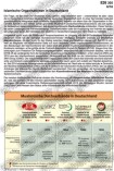 Islamische Organisationen in Deutschland Schaubilder, Diagramme, Tabellen und Illustrationen zu Wirtschaft und Politik