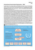 Internationale Atomenergie-Organisation - IAEA (03/2005) Schaubilder, Diagramme, Tabellen und Illustrationen zu Wirtschaft und Politik