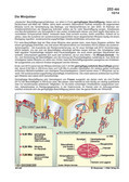 Die Minijobber (10/2014) Schaubilder, Diagramme, Tabellen und Illustrationen zu Wirtschaft und Politik