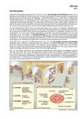 Minijobber Schaubilder, Diagramme, Tabellen und Illustrationen zu Wirtschaft und Politik