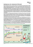 Schaubild: Der Aufholprozess Ostdeutschlands (10/2009) Schaubilder Ostdeutschland- neue Bundesländer