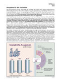 Ausgaben für die Sozialhilfe 2008 Zahlenbilder - Politik, Wirtschaft & Gesellschaft