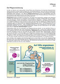 Die Pflegeversicherung (09/2013) Schaubilder & Illustrationen zu Wirtschaft und Politik