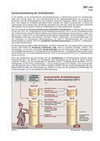 Schaubilder, Diagramme, Tabellen und Illustrationen zu Wirtschaft und Politik