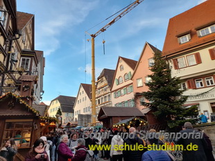 Weihnachtsmarkt in Bad Wimpfen